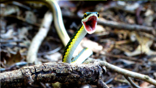 Fundacion Cores column image 2