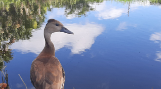 Fundacion Cores column image 3